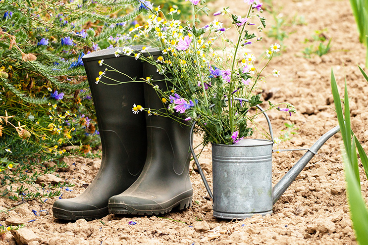 Foto: Gummistiefel und eine Grießkanne stehen auf einem Gartenweg.